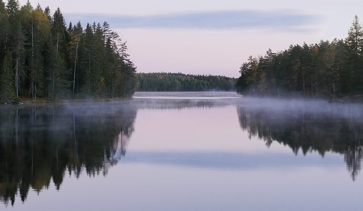Stillbild från videoverket. På bilden syns stilla vatten med lite dimma. På sidorna tät blandskog.