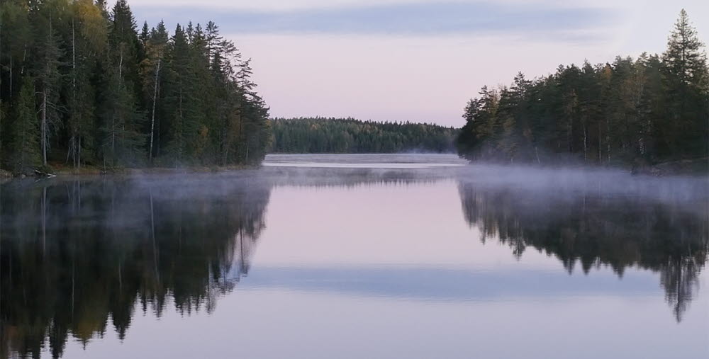 Stillbild från videoverket. På bilden syns stilla vatten med lite dimma. På sidorna tät blandskog.