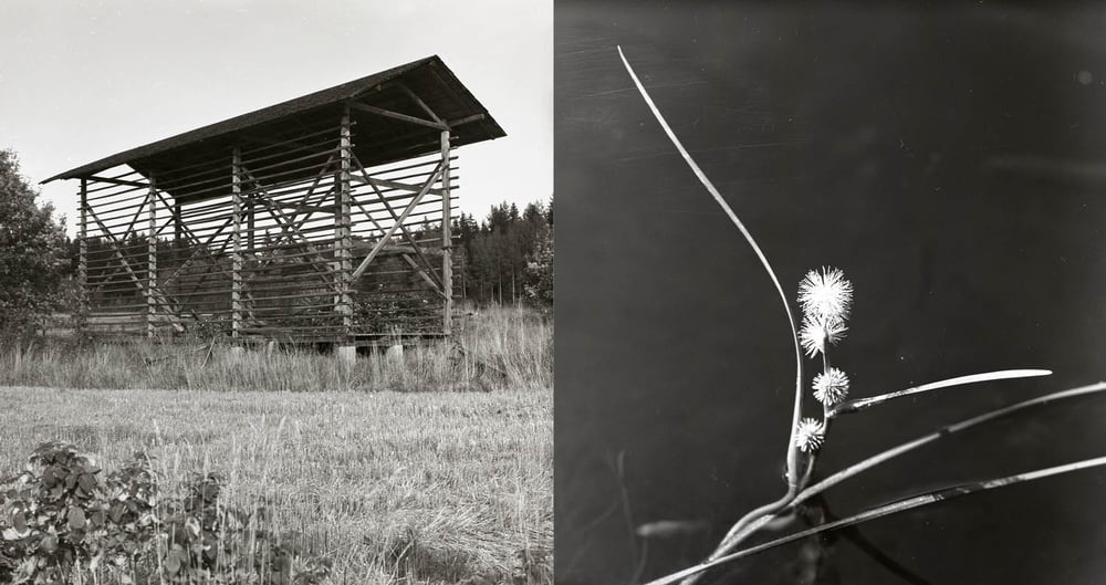 Ett svartvitt foto av en träkonstruktion.