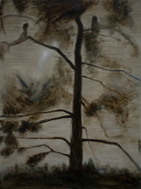 Oscar Norlund