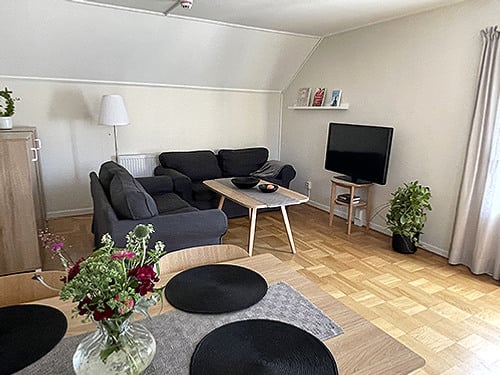 Ett vardagsrum fyllt med möbler och en platt-tv.