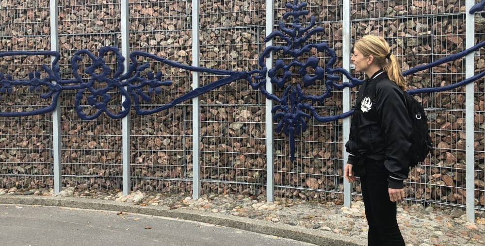 På gabionmuren under hus 11 sitter Festen, ett verk av konstnären Linda Bäckström. I relief och metalliska former väver hon samman Hälsinglands landskap, färgprakt och folkkonst till ett nutida uttryck med ett fokus på allt som finns att fira på ett sjukhus.