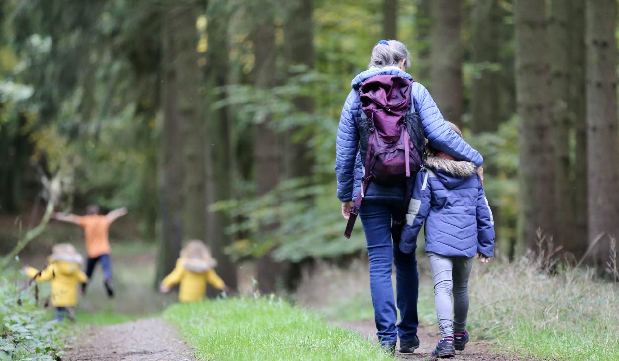 Promenad i skogen, en vuxen och fyra barn.