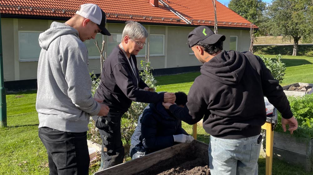Deltagare i projektet FolkisUng arbetar tillsammans med plantering i en odlingslåda vid Västerbergs folkhögskola.